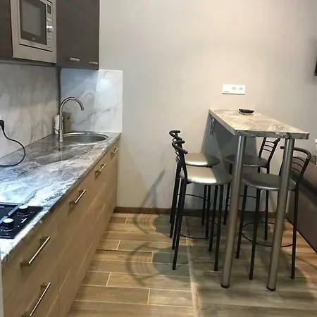 New Appartment-studio іn The Center Of לבוב