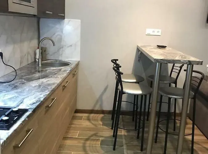 New Appartment-studio іn The Center Of Lviv